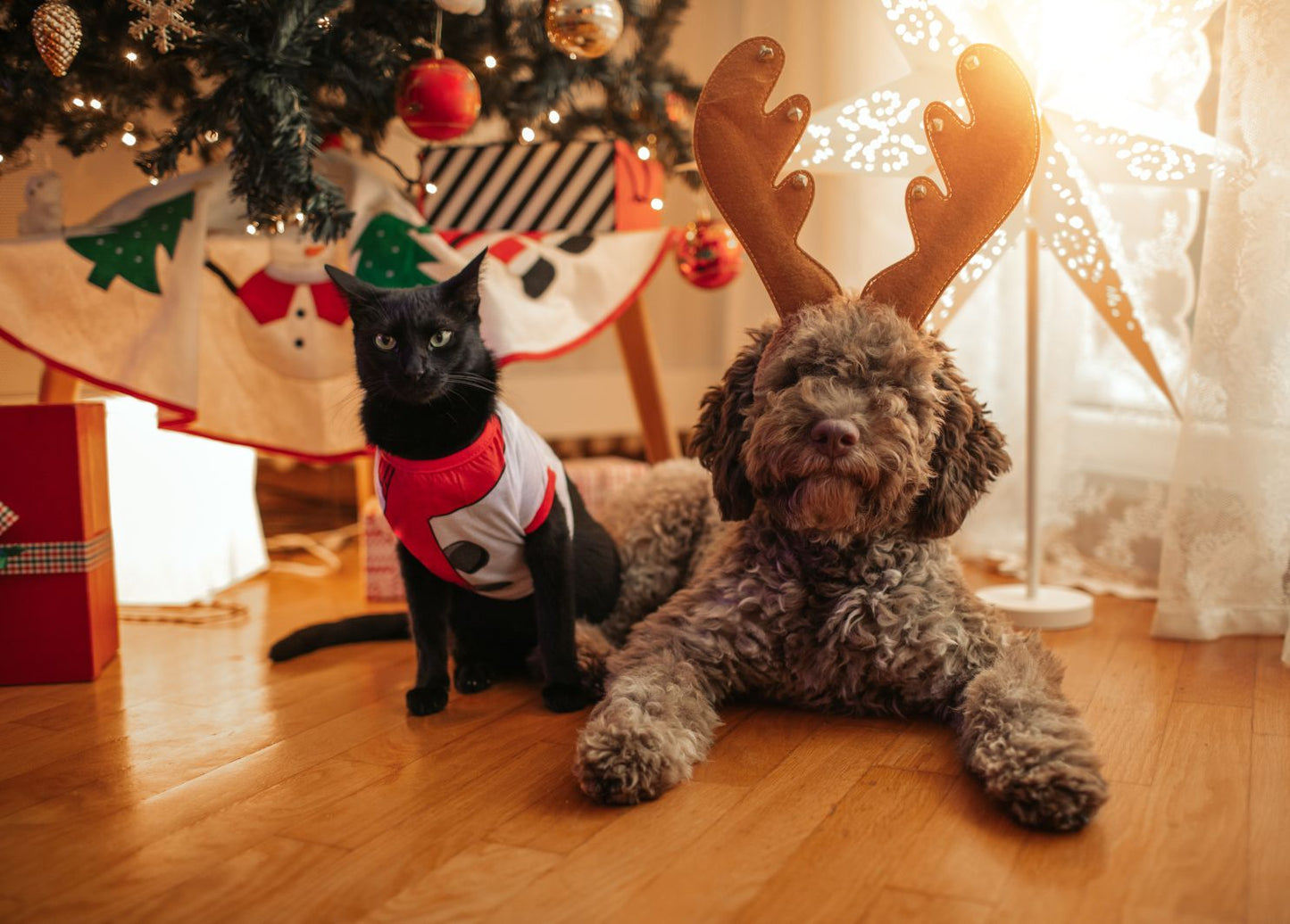 Professionele Vachtborstel met Stoomfunctie